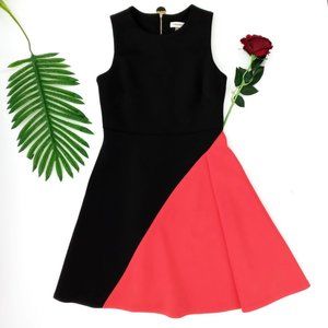 Calvin Klein Black & Pink Dress Color Block Flare